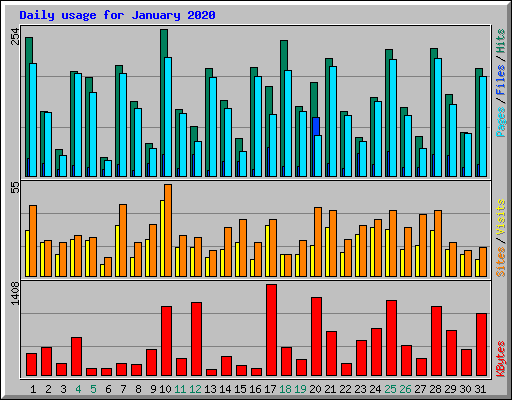 Daily usage for January 2020