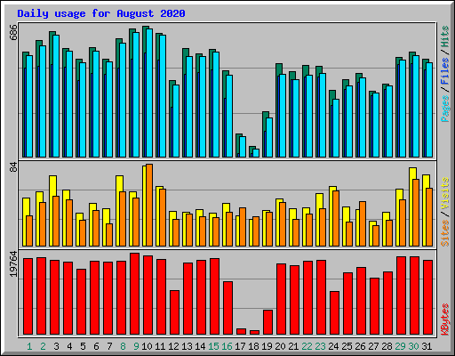 Daily usage for August 2020