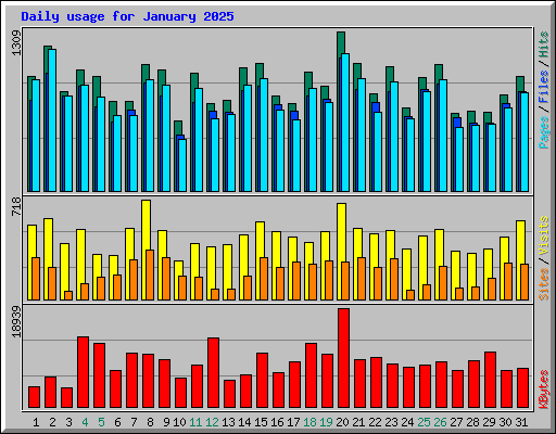 Daily usage for January 2025