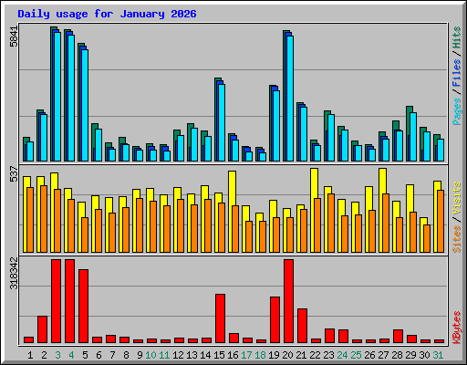 Daily usage for January 2026