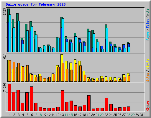 Daily usage for February 2026