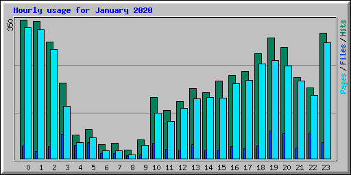 Hourly usage for January 2020