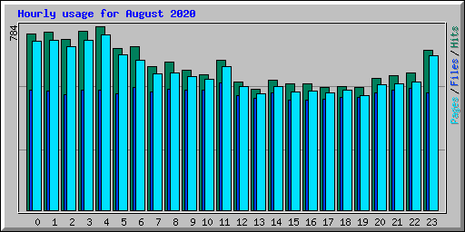 Hourly usage for August 2020