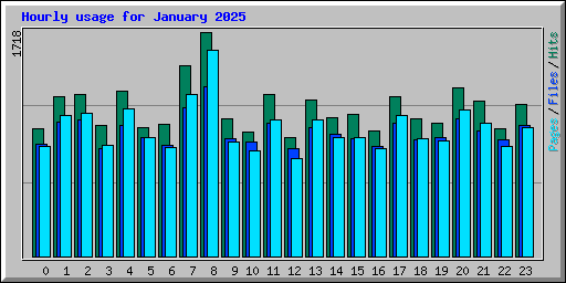 Hourly usage for January 2025