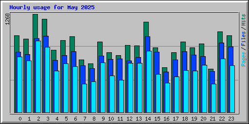 Hourly usage for May 2025