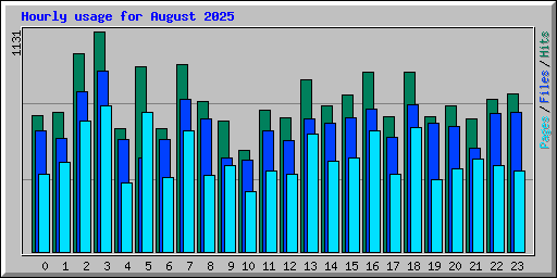Hourly usage for August 2025