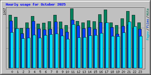 Hourly usage for October 2025