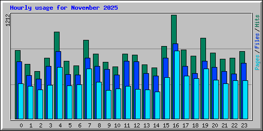 Hourly usage for November 2025