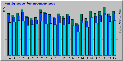 Hourly usage for December 2025