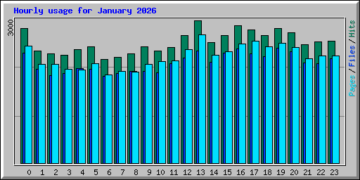 Hourly usage for January 2026