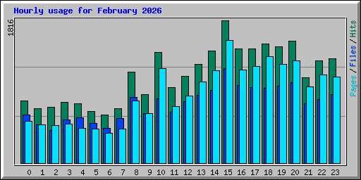 Hourly usage for February 2026