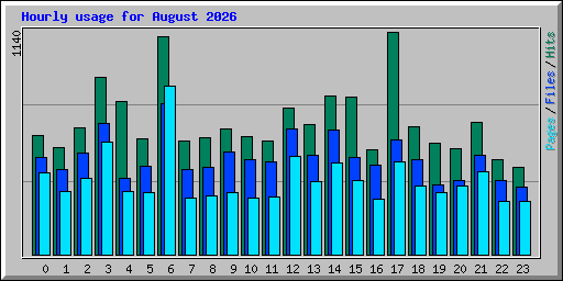 Hourly usage for August 2026
